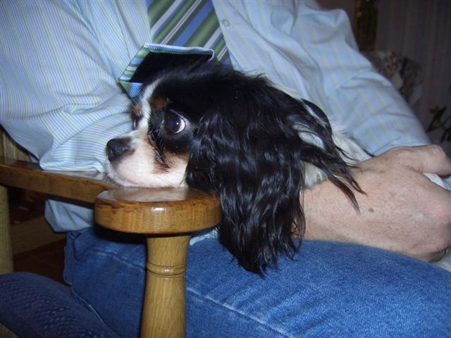 Zinka